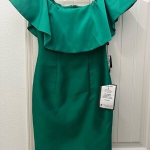 Green fancy Adriana Papell dress
